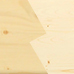 Épicéa / Pin (plante)