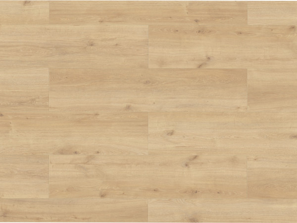 Stratifié Skyline Trend Harmony Oak beige, lame style campagnard