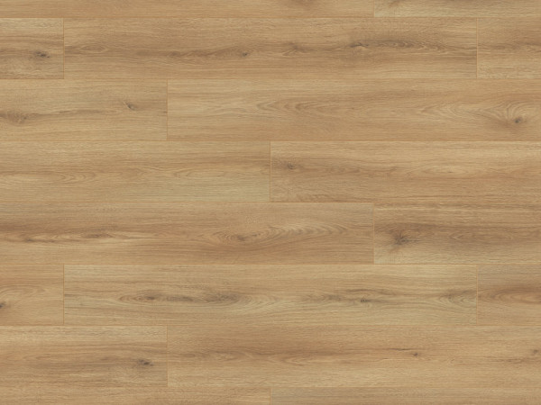 Parquet stratifié Atlantic 7 Sand Cantal Oak K654