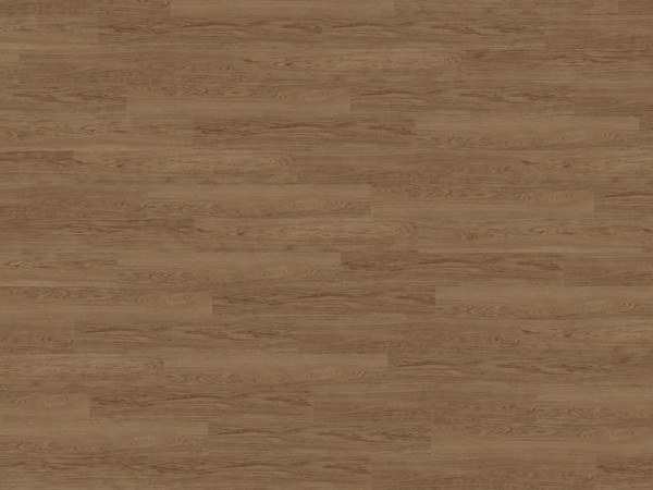 Sol en liège « Wood Natural XL » décor Elegant Oak