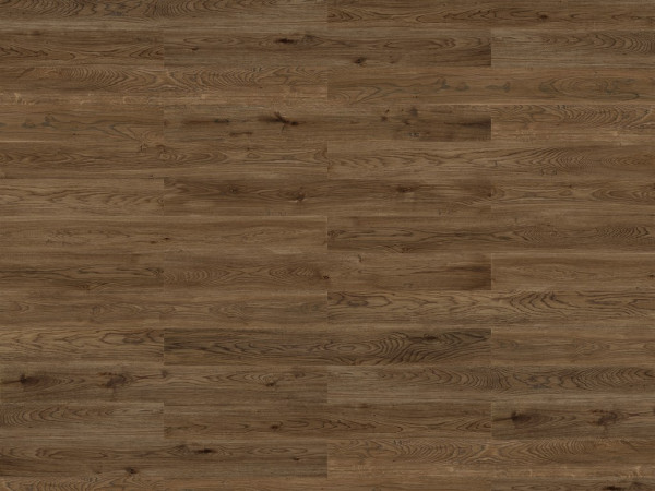 Sol en liège « Wood Natural XL Essential » décor chêne élégant