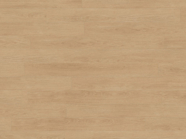Stratifié Elegance Oak Crème 81162 Mammut Plus Planches larges