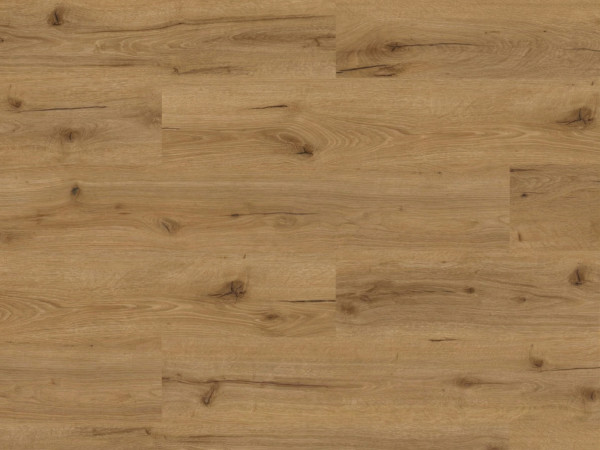 Sol vinyle décor chêne Hawaii, lame large