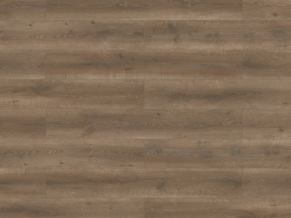 Stratifié Lifestyle Trend Bellemont Oak black brown lame style campagnard