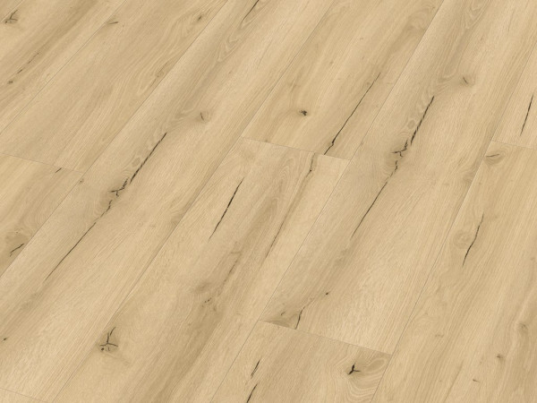 Sol design RD 200 S Garage pop 20191 Lame courte