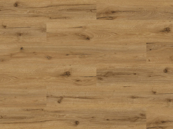 Sol vinyle décor chêne Hawaii, lame large