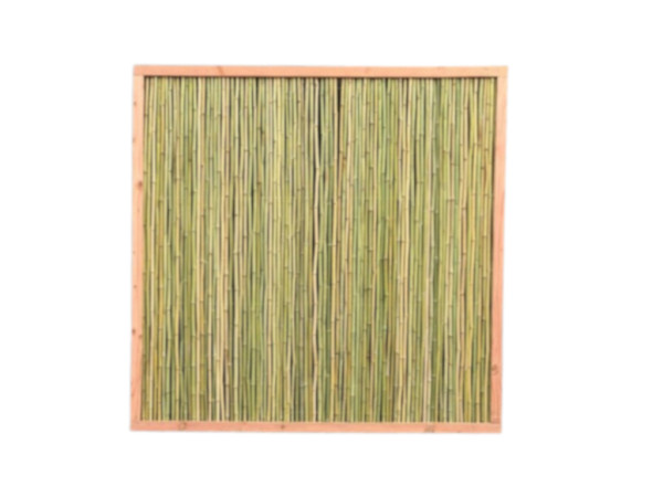 Clôture pare-vue bambou rectangle Slim