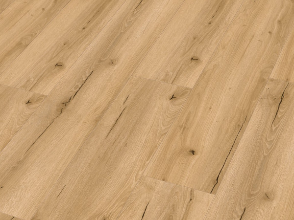 Sol design RD 200 S Industrial pop 20192 Lame courte