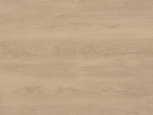Stratifié Absolute Oak Beige 81102 Exquisit Plus Planches larges