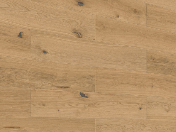 Panneau de bois véritable Craft SP 400 Chêne authentique 20129