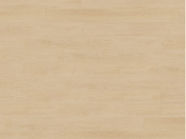 Stratifié Elegance Oak Beige 81142 Mammut Plus Planches larges