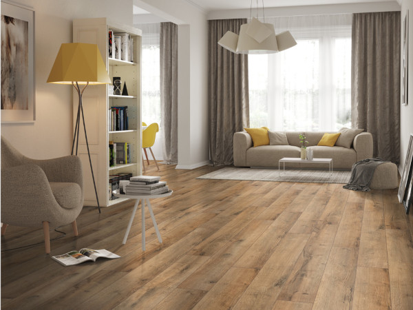 Basicfloor stratifié chêne naturel gris stratifié imitation bois