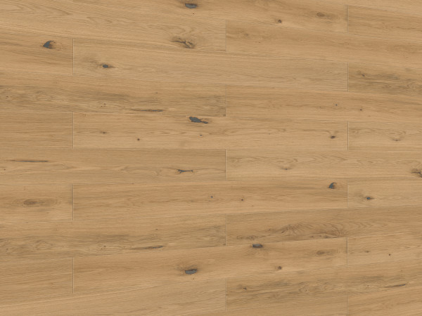 Panneau de bois véritable Craft SP 400 Chêne authentique 20129