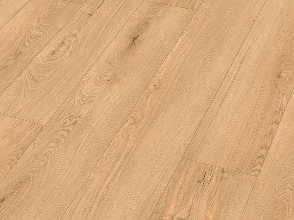 Sol design RM 500 S Vintage hollywood 20196 Lames extra-larges