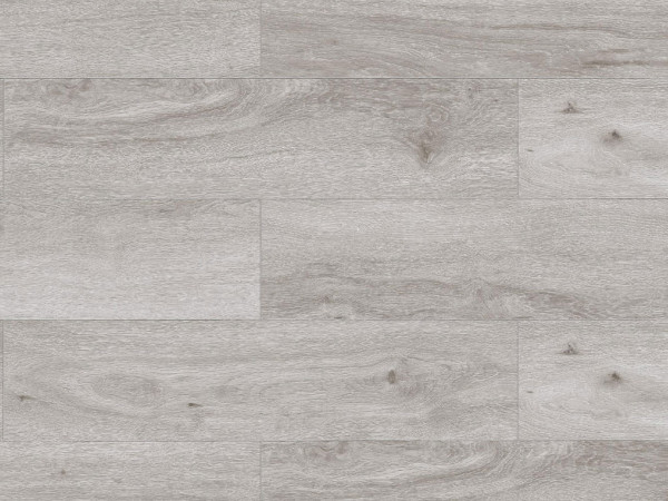 Stratifié Trend XL WR chêne gris clair lames XL