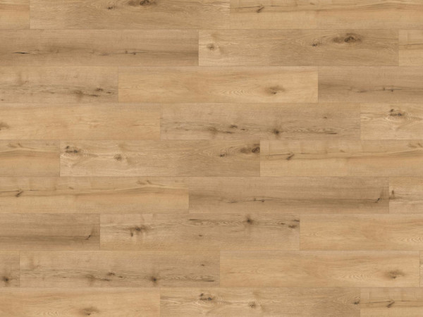 Sol design Ranch - Chêne Roan Planche rustique