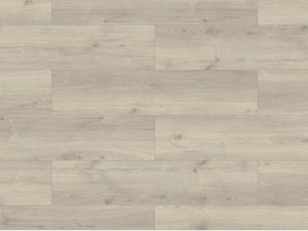 Stratifié Skyline Trend Harmony Oak grey, lame style campagnard