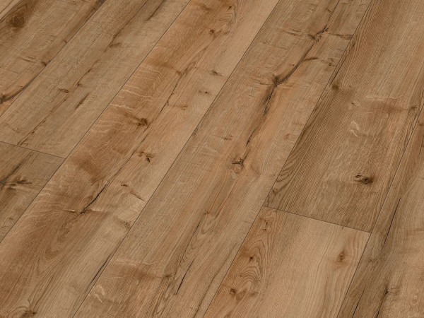 Sol design RM 500 S Brass band 20198 Lames larges