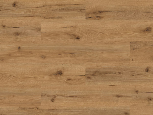 Sol vinyle décor chêne Hawaii, lame large