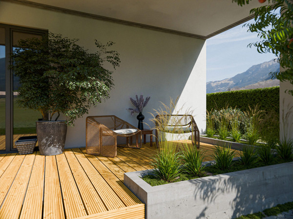 Lame de terrasse Mélèze de Sibérie