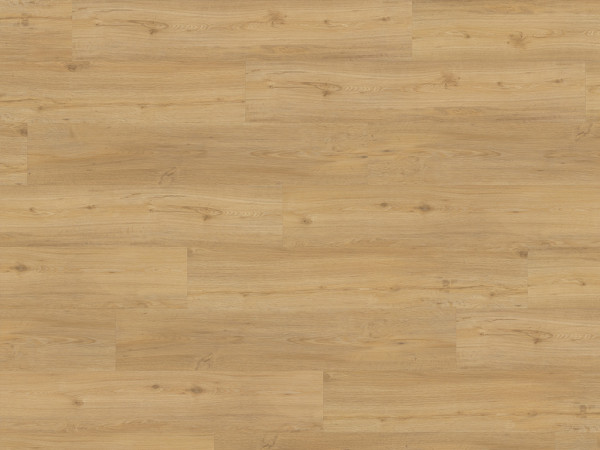 Sol design SPC Rigid Clic Wood Design Oulanka au format de lames larges à l'ancienne